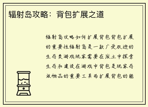 辐射岛攻略：背包扩展之道