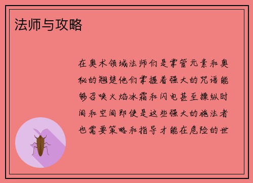 法师与攻略